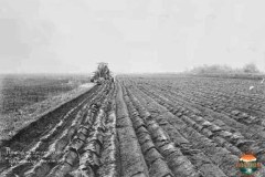 Plowing the Marsh 1914